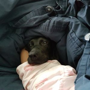 Meet your Posher, Astaria